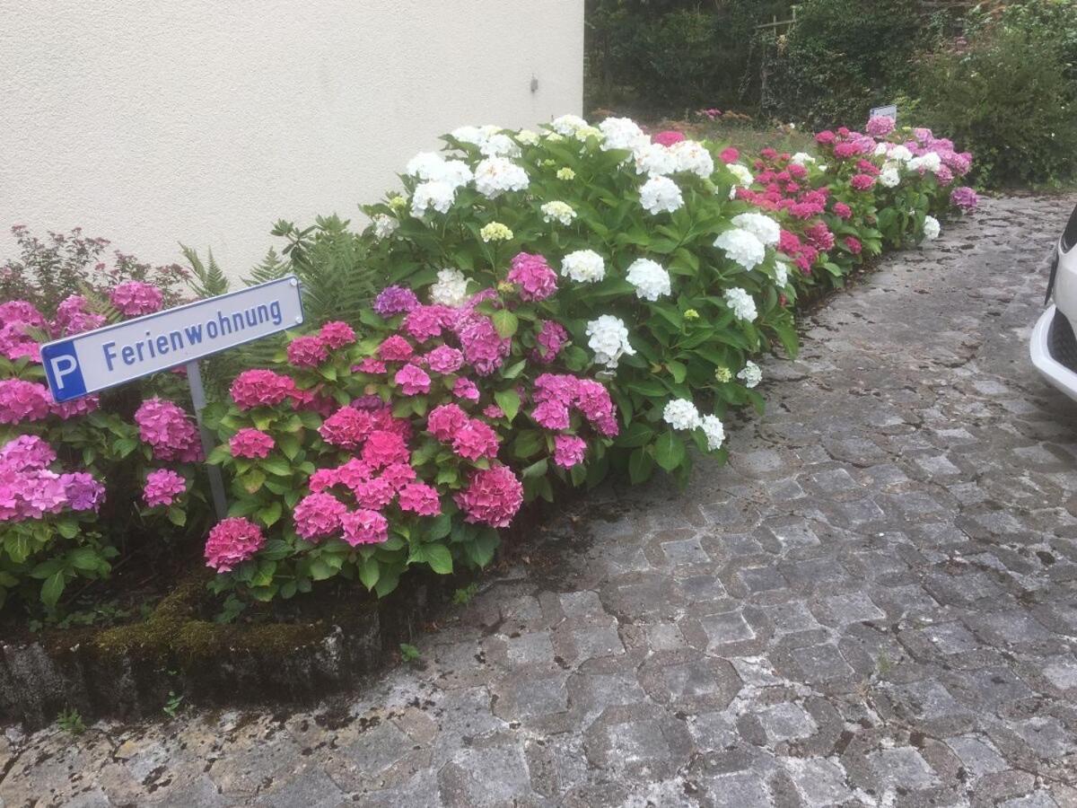 Ferienwohnung Loretta Traben-Trarbach Exteriér fotografie